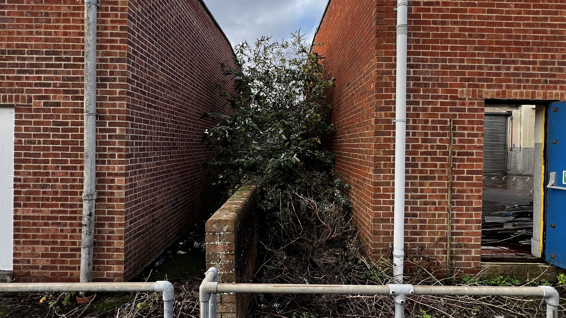 Who Should You Contact First — The Council, a Surveyor, or Your Neighbour Wandsworth?