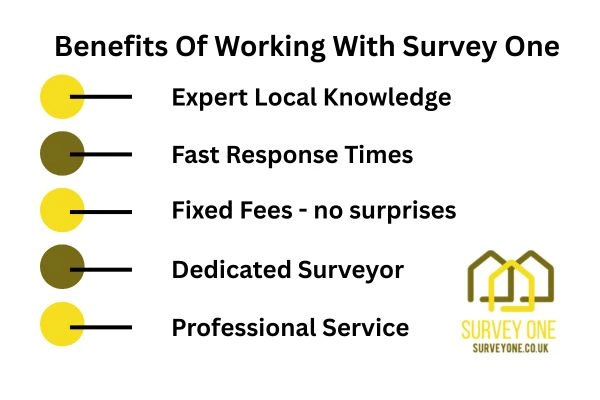Benefits Of Working With Survey One Wandsworth
